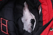 Youth 90's Chicago Bulls Embroidered Logo 7 Puffer Jacket - ThriftedThreads.com