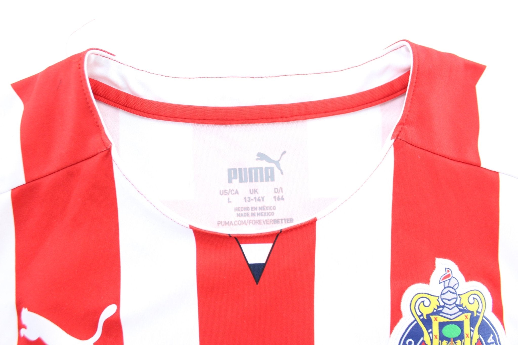 Youth Puma Logo Club Deportivo Guadalajara Striped Soccer Jersey - ThriftedThreads.com